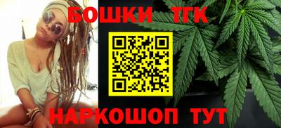 МДПВ Дубна