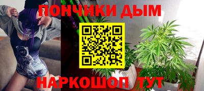 шишки Волжск