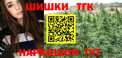 МДПВ Дубна
