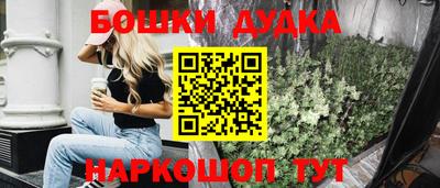 МДПВ Дубна