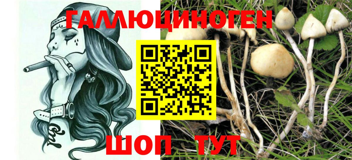 Галлюциногенные грибы Magic Shrooms  Вход с VPN  Нефтекамск  Галлюциногенные грибы прущие грибы 